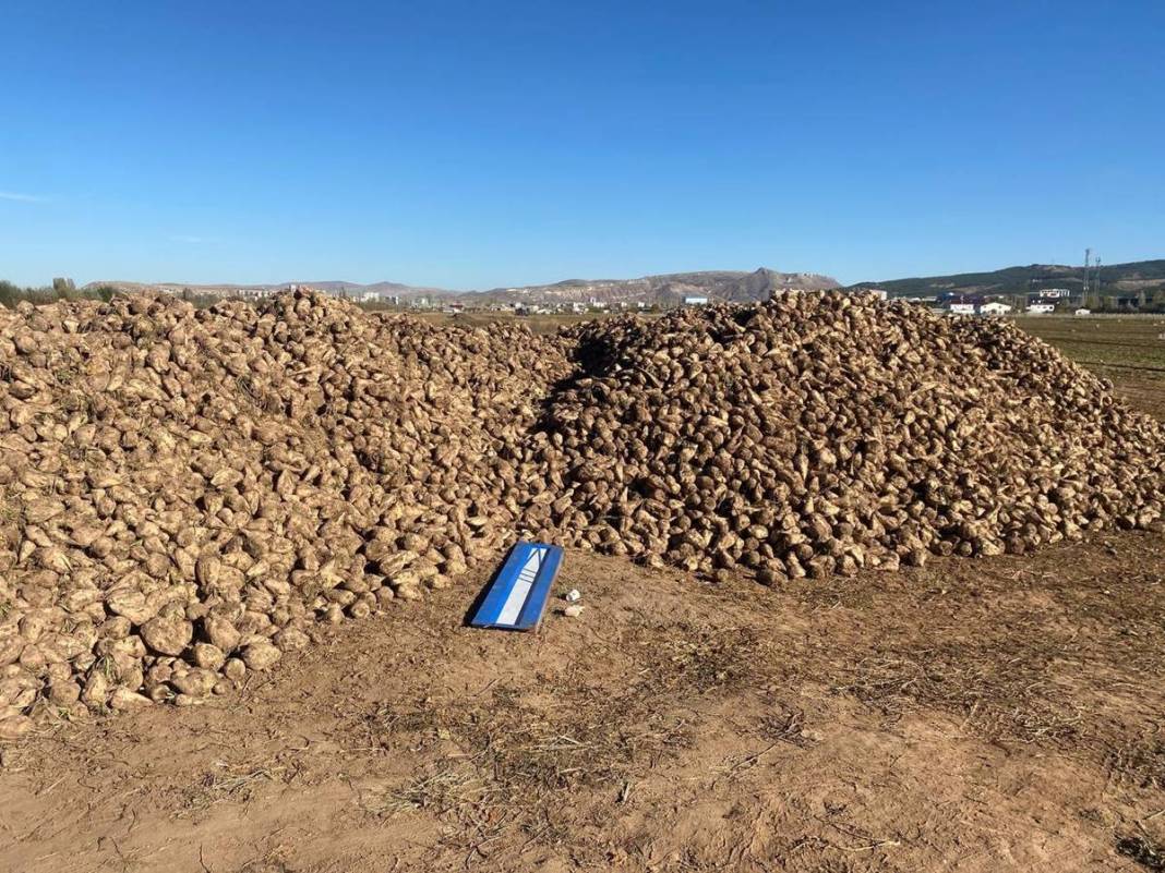 Tarlasına ektiği sebzelerin son halini görünce aklı durdu! Mutfak tüpüyle yan yana koyup kıyasladı, görüntüler şaşırttı 10